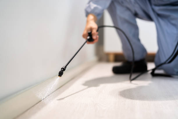 Bed Bug Pre-Treatment Preparation Assessment in Edneyville