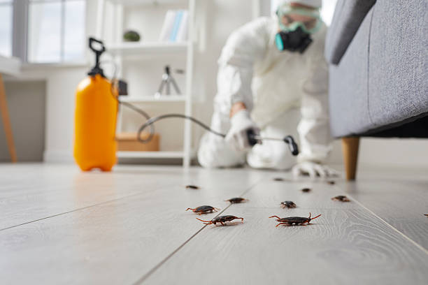 Post-Treatment Bed Bug Interceptor Monitoring in Edneyville