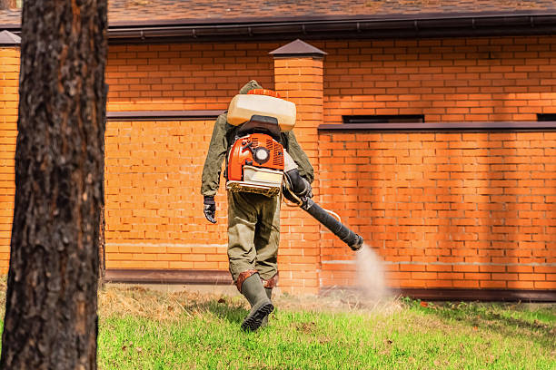 Bed Bug Clearance Verification and Documentation in Edneyville